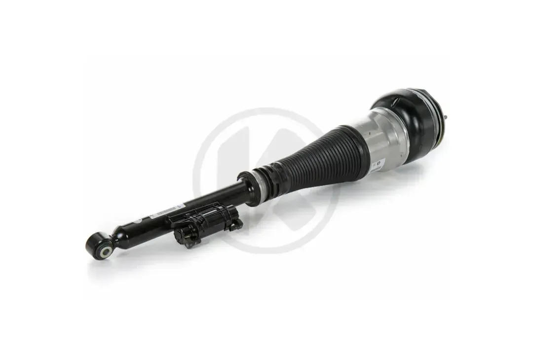REAR SHOCK ABSORBER Repl. A2223207313